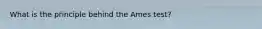 What is the principle behind the Ames test?