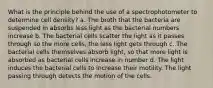 What is the principle behind the use of a spectrophotometer to determine cell density? a. The broth that the bacteria are suspended in absorbs less light as the bacterial numbers increase b. The bacterial cells scatter the light as it passes through so the more cells, the less light gets through c. The bacterial cells themselves absorb light, so that more light is absorbed as bacterial cells increase in number d. The light induces the bacterial cells to increase their motility. The light passing through detects the motion of the cells.