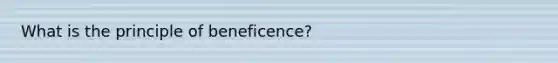 What is the principle of beneficence?