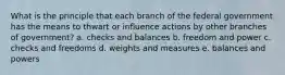 What is the principle that each branch of the federal government has the means to thwart or influence actions by other branches of government? a. checks and balances b. freedom and power c. checks and freedoms d. weights and measures e. balances and powers