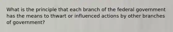 What is the principle that each branch of the federal government has the means to thwart or influenced actions by other branches of government?