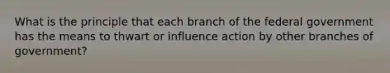 What is the principle that each branch of the federal government has the means to thwart or influence action by other branches of government?