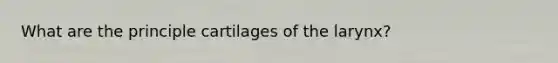 What are the principle cartilages of the larynx?