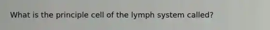 What is the principle cell of the lymph system called?