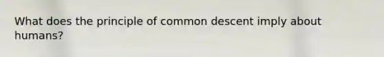 What does the principle of common descent imply about humans?