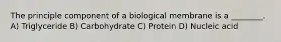 The principle component of a biological membrane is a ________. A) Triglyceride B) Carbohydrate C) Protein D) Nucleic acid