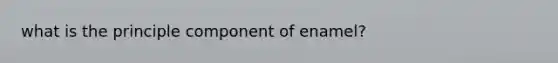 what is the principle component of enamel?