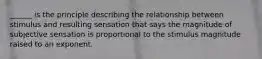 ______ is the principle describing the relationship between stimulus and resulting sensation that says the magnitude of subjective sensation is proportional to the stimulus magnitude raised to an exponent.