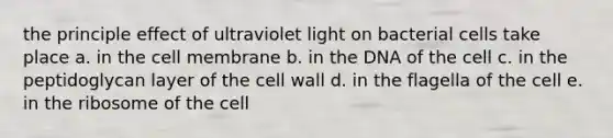 the principle effect of ultraviolet light on bacterial cells take place a. in the cell membrane b. in the DNA of the cell c. in the peptidoglycan layer of the cell wall d. in the flagella of the cell e. in the ribosome of the cell