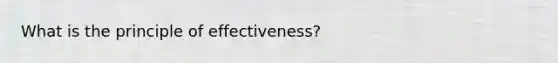 What is the principle of effectiveness?