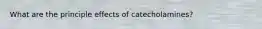 What are the principle effects of catecholamines?