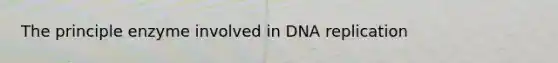 The principle enzyme involved in DNA replication