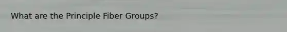 What are the Principle Fiber Groups?