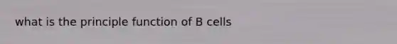 what is the principle function of B cells