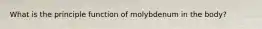 What is the principle function of molybdenum in the body?