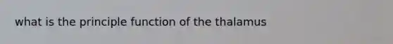 what is the principle function of the thalamus