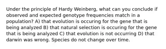 Under the principle of Hardy Weinberg, what can you conclude if observed and expected genotype frequencies match in a population? A) that evolution is occuring for the gene that is being analyzed B) that natural selection is occuring for the gene that is being analyzed C) that evolution is not occurring D) that darwin was wrong. Species do not change over time.