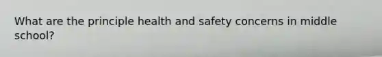 What are the principle health and safety concerns in middle school?