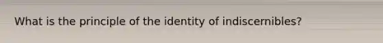 What is the principle of the identity of indiscernibles?