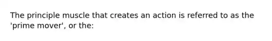 The principle muscle that creates an action is referred to as the 'prime mover', or the: