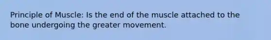 Principle of Muscle: Is the end of the muscle attached to the bone undergoing the greater movement.