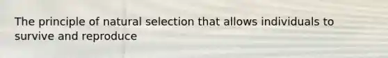 The principle of natural selection that allows individuals to survive and reproduce