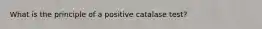 What is the principle of a positive catalase test?