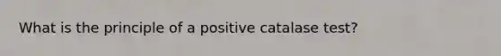 What is the principle of a positive catalase test?