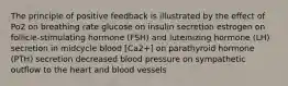 The principle of positive feedback is illustrated by the effect of Po2 on breathing rate glucose on insulin secretion estrogen on follicle-stimulating hormone (FSH) and luteinizing hormone (LH) secretion in midcycle blood [Ca2+] on parathyroid hormone (PTH) secretion decreased blood pressure on sympathetic outflow to the heart and blood vessels