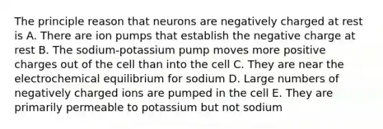 The principle reason that neurons are negatively charged at rest is A. There are ion pumps that establish the negative charge at rest B. The sodium-potassium pump moves more positive charges out of the cell than into the cell C. They are near the electrochemical equilibrium for sodium D. Large numbers of negatively charged ions are pumped in the cell E. They are primarily permeable to potassium but not sodium