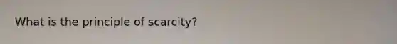 What is the principle of scarcity?