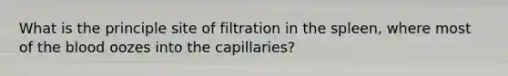 What is the principle site of filtration in the spleen, where most of the blood oozes into the capillaries?