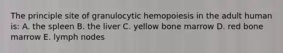 The principle site of granulocytic hemopoiesis in the adult human is: A. the spleen B. the liver C. yellow bone marrow D. red bone marrow E. lymph nodes