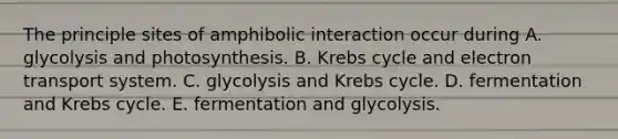 The principle sites of amphibolic interaction occur during A. glycolysis and photosynthesis. B. Krebs cycle and electron transport system. C. glycolysis and Krebs cycle. D. fermentation and Krebs cycle. E. fermentation and glycolysis.