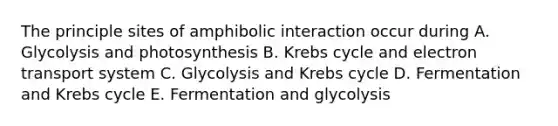 The principle sites of amphibolic interaction occur during A. Glycolysis and photosynthesis B. Krebs cycle and electron transport system C. Glycolysis and Krebs cycle D. Fermentation and Krebs cycle E. Fermentation and glycolysis