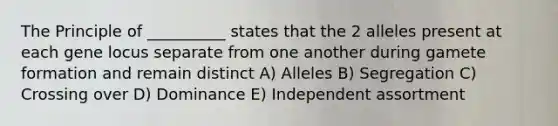 The Principle of __________ states that the 2 alleles present at each gene locus separate from one another during gamete formation and remain distinct A) Alleles B) Segregation C) Crossing over D) Dominance E) Independent assortment