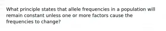 What principle states that allele frequencies in a population will remain constant unless one or more factors cause the frequencies to change?