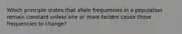 Which principle states that allele frequencies in a population remain constant unless one or more factors cause those frequencies to change?