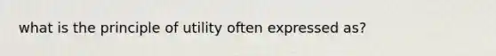 what is the principle of utility often expressed as?