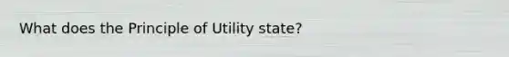 What does the Principle of Utility state?