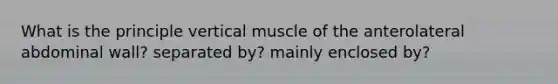 What is the principle vertical muscle of the anterolateral abdominal wall? separated by? mainly enclosed by?