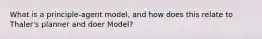 What is a principle-agent model, and how does this relate to Thaler's planner and doer Model?