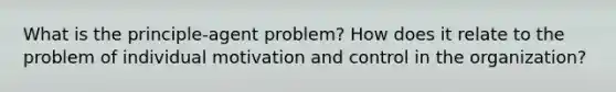 What is the principle-agent problem? How does it relate to the problem of individual motivation and control in the organization?