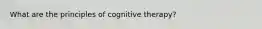 What are the principles of cognitive therapy?