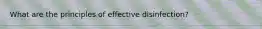 What are the principles of effective disinfection?