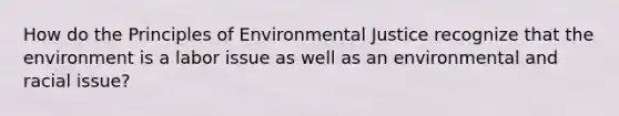 How do the Principles of Environmental Justice recognize that the environment is a labor issue as well as an environmental and racial issue?