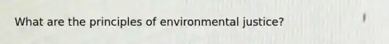 What are the principles of environmental justice?