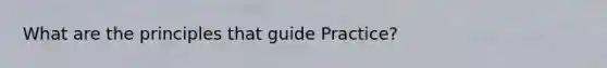 What are the principles that guide Practice?