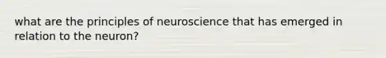 what are the principles of neuroscience that has emerged in relation to the neuron?