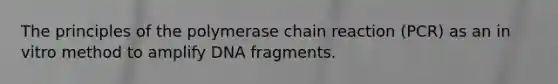 The principles of the polymerase chain reaction (PCR) as an in vitro method to amplify DNA fragments.